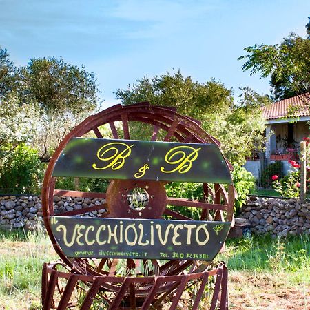 Bed and Breakfast Il Vecchioliveto Di Ornella Marrùbiu Zewnętrze zdjęcie