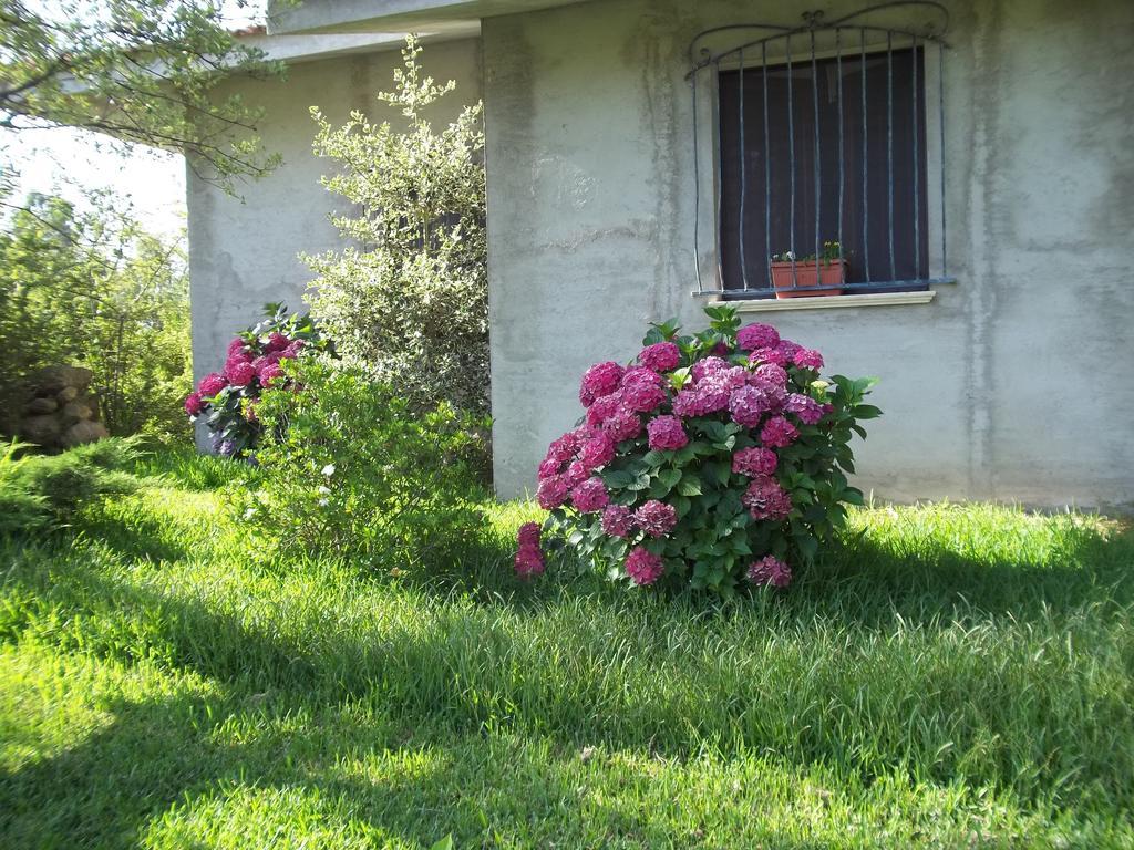 Bed and Breakfast Il Vecchioliveto Di Ornella Marrùbiu Zewnętrze zdjęcie