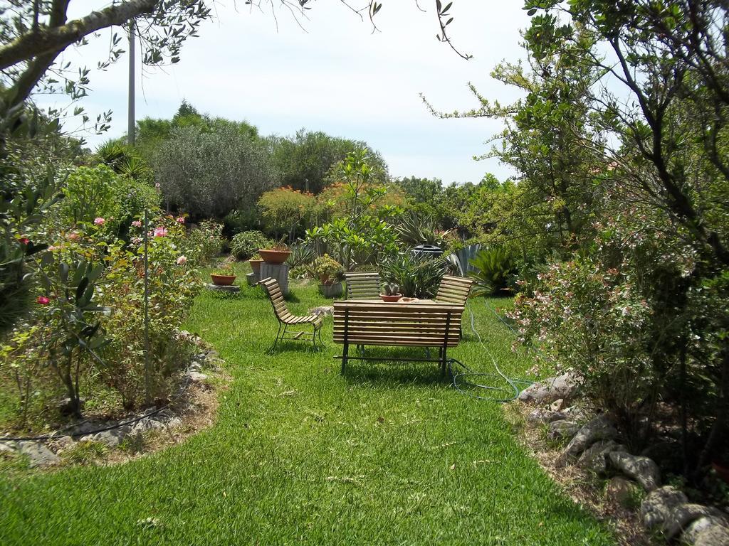 Bed and Breakfast Il Vecchioliveto Di Ornella Marrùbiu Pokój zdjęcie