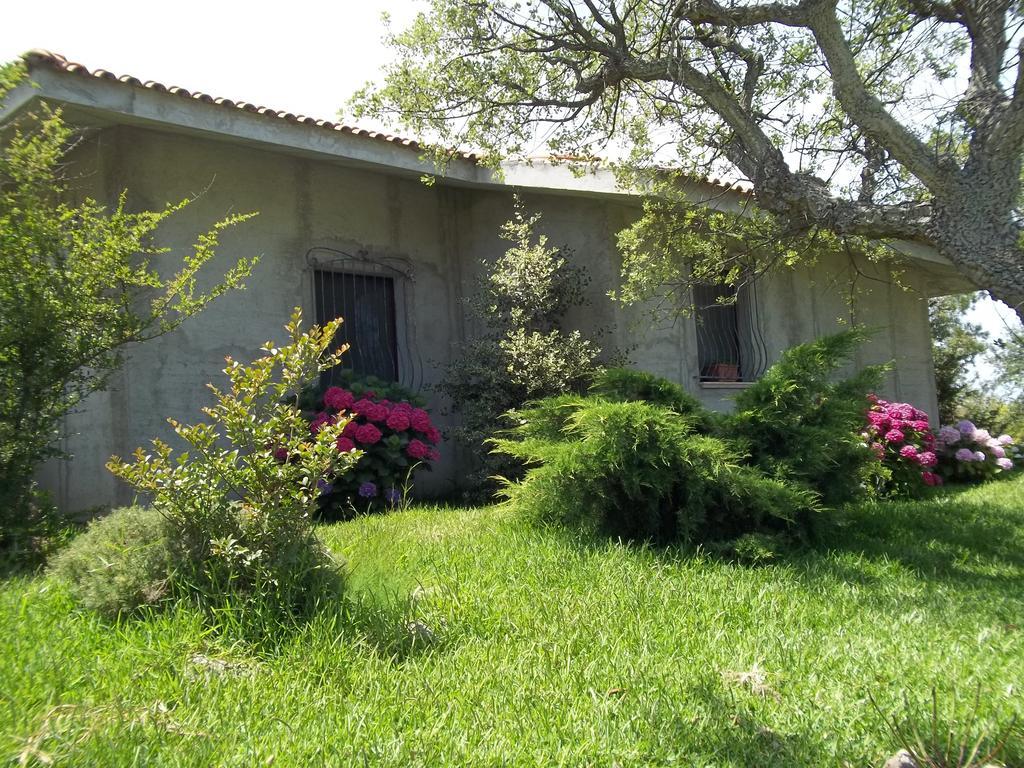 Bed and Breakfast Il Vecchioliveto Di Ornella Marrùbiu Pokój zdjęcie