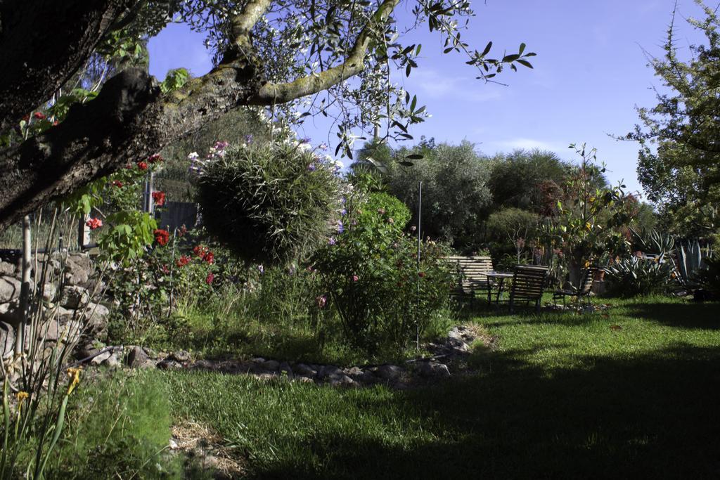 Bed and Breakfast Il Vecchioliveto Di Ornella Marrùbiu Zewnętrze zdjęcie