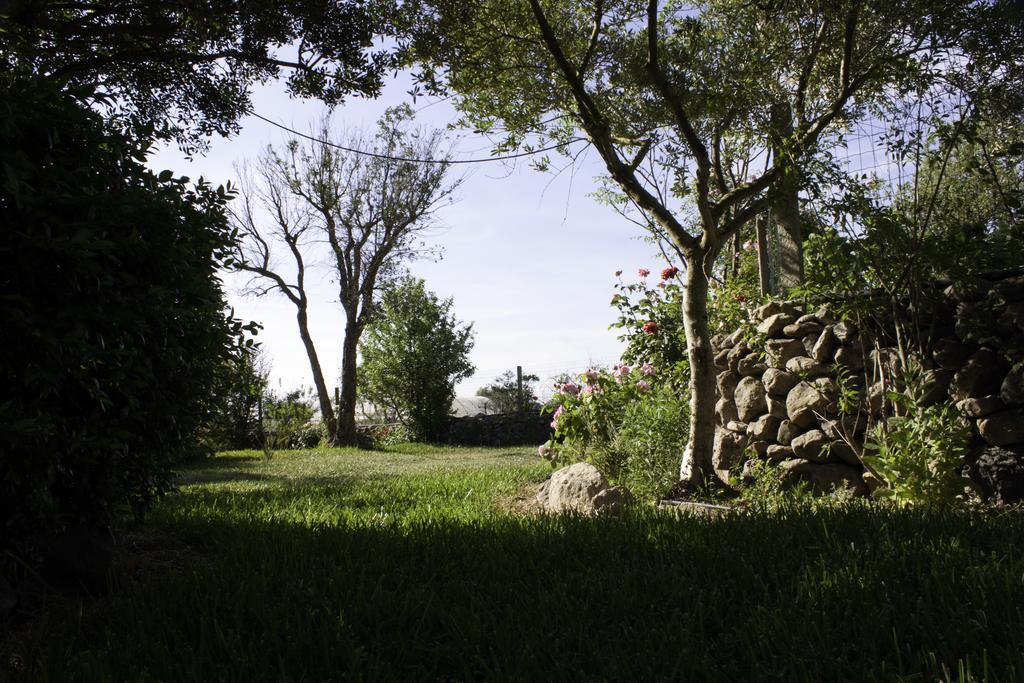 Bed and Breakfast Il Vecchioliveto Di Ornella Marrùbiu Zewnętrze zdjęcie