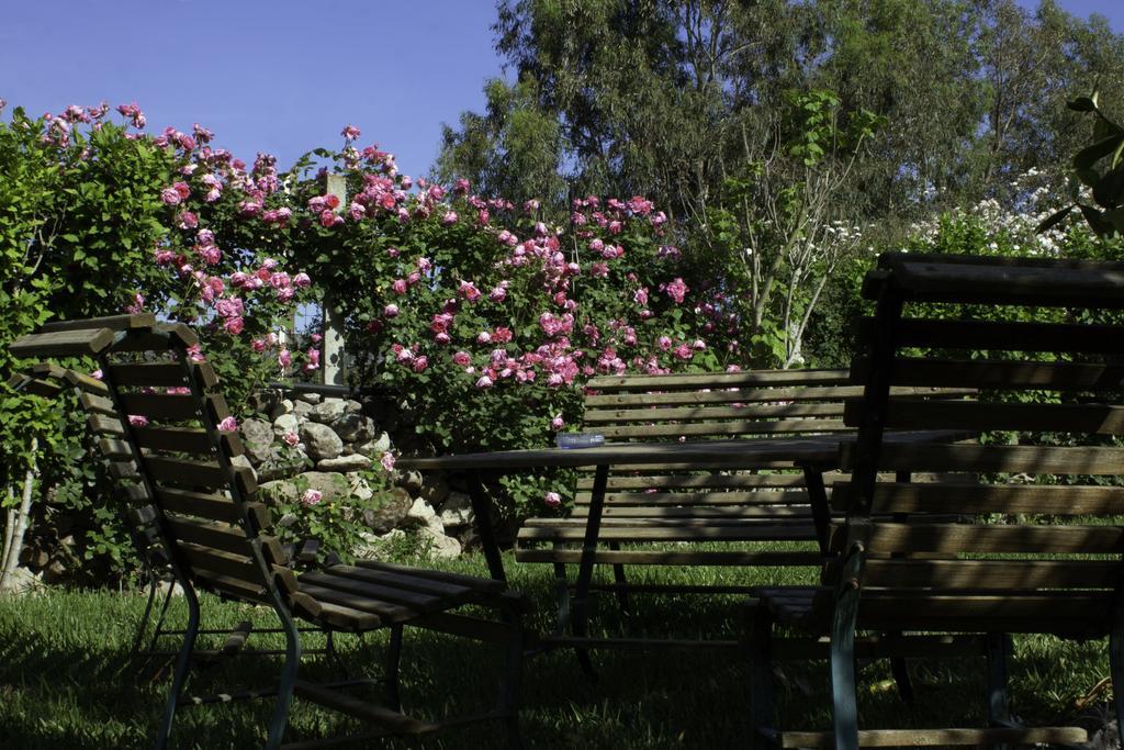 Bed and Breakfast Il Vecchioliveto Di Ornella Marrùbiu Zewnętrze zdjęcie