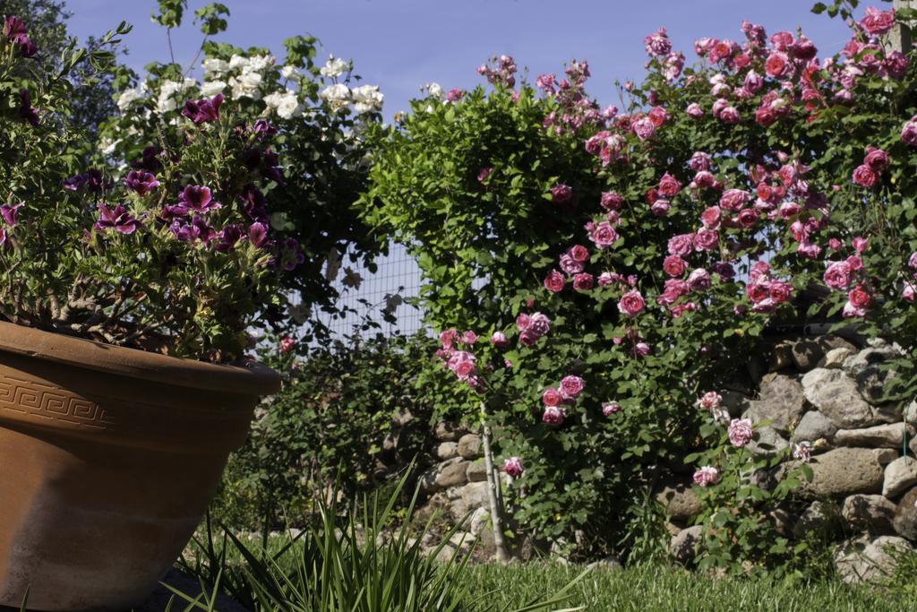 Bed and Breakfast Il Vecchioliveto Di Ornella Marrùbiu Zewnętrze zdjęcie