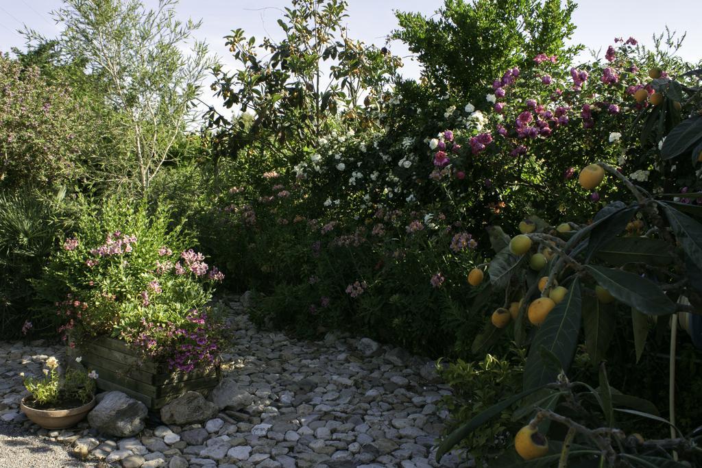 Bed and Breakfast Il Vecchioliveto Di Ornella Marrùbiu Zewnętrze zdjęcie