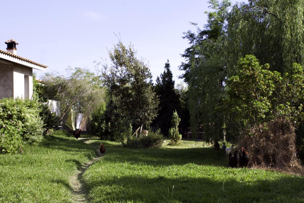 Bed and Breakfast Il Vecchioliveto Di Ornella Marrùbiu Zewnętrze zdjęcie