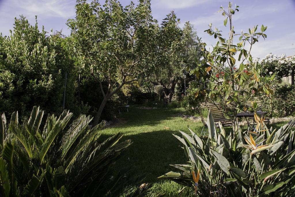 Bed and Breakfast Il Vecchioliveto Di Ornella Marrùbiu Zewnętrze zdjęcie