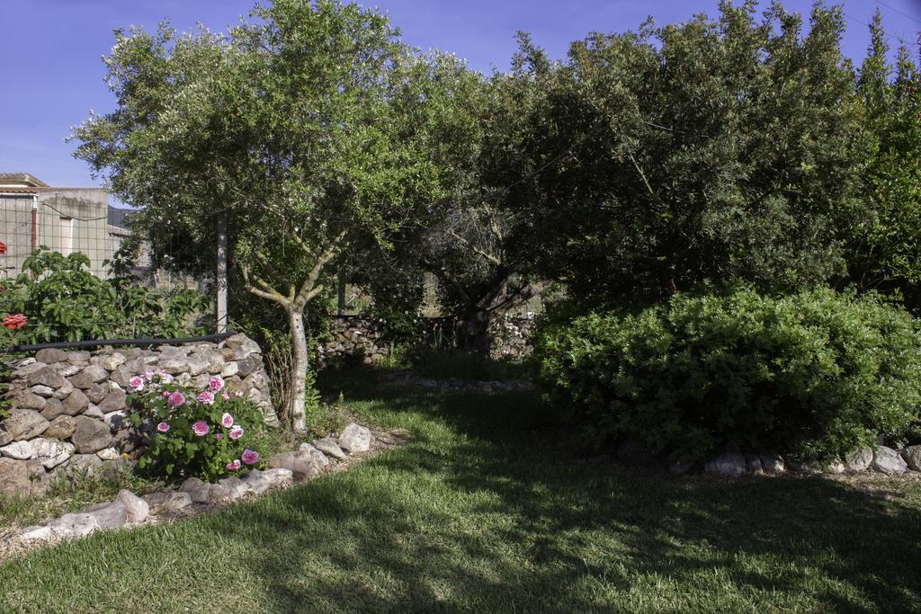 Bed and Breakfast Il Vecchioliveto Di Ornella Marrùbiu Zewnętrze zdjęcie