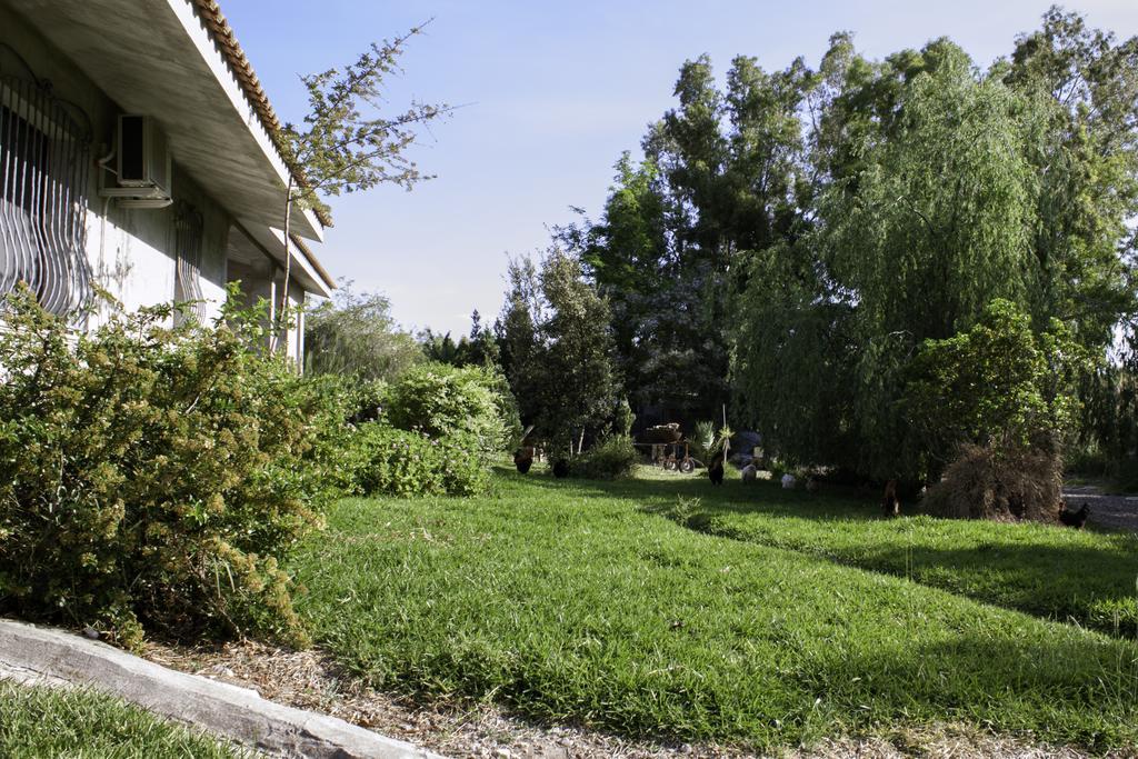 Bed and Breakfast Il Vecchioliveto Di Ornella Marrùbiu Zewnętrze zdjęcie