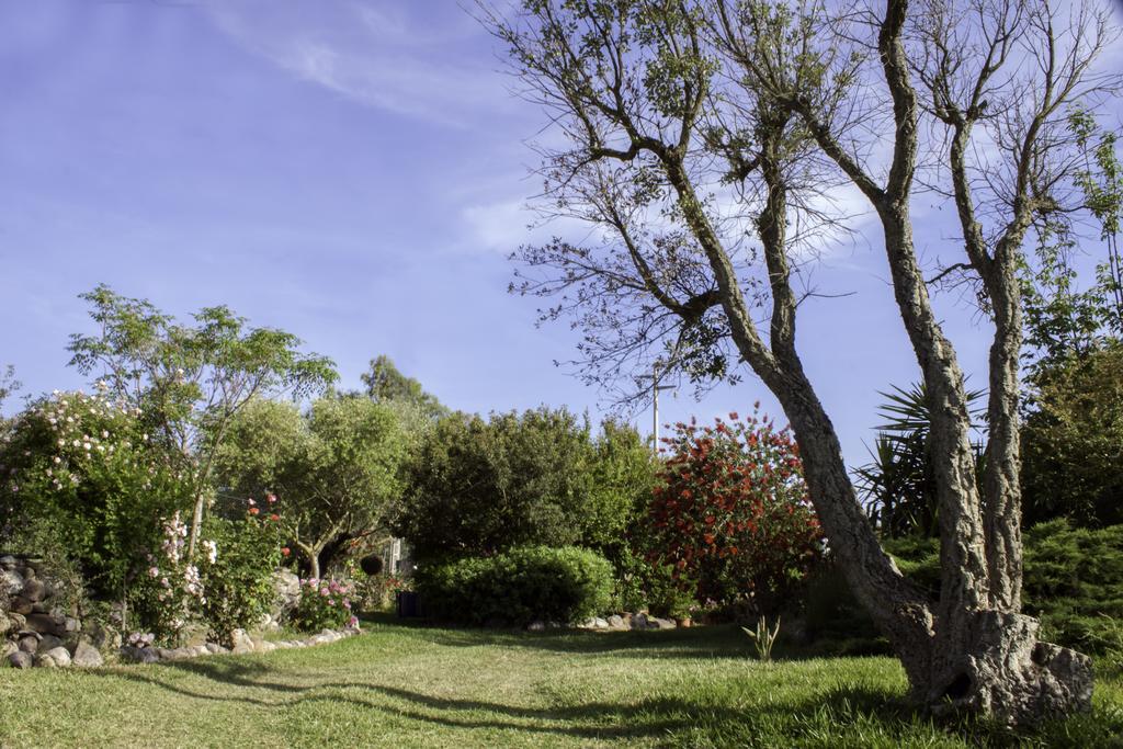 Bed and Breakfast Il Vecchioliveto Di Ornella Marrùbiu Zewnętrze zdjęcie