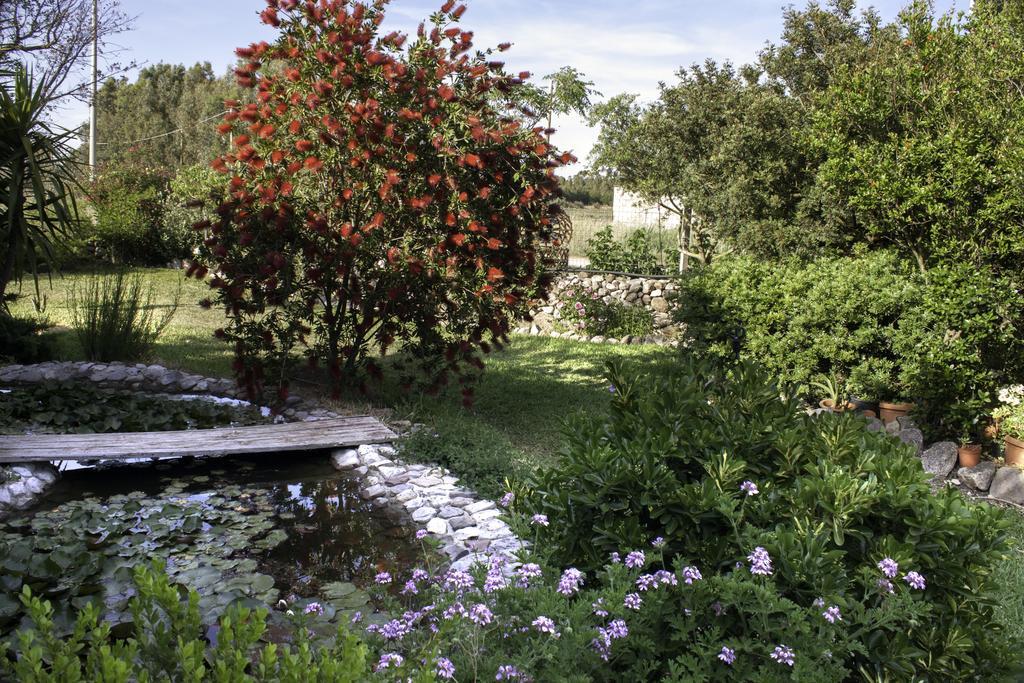Bed and Breakfast Il Vecchioliveto Di Ornella Marrùbiu Zewnętrze zdjęcie