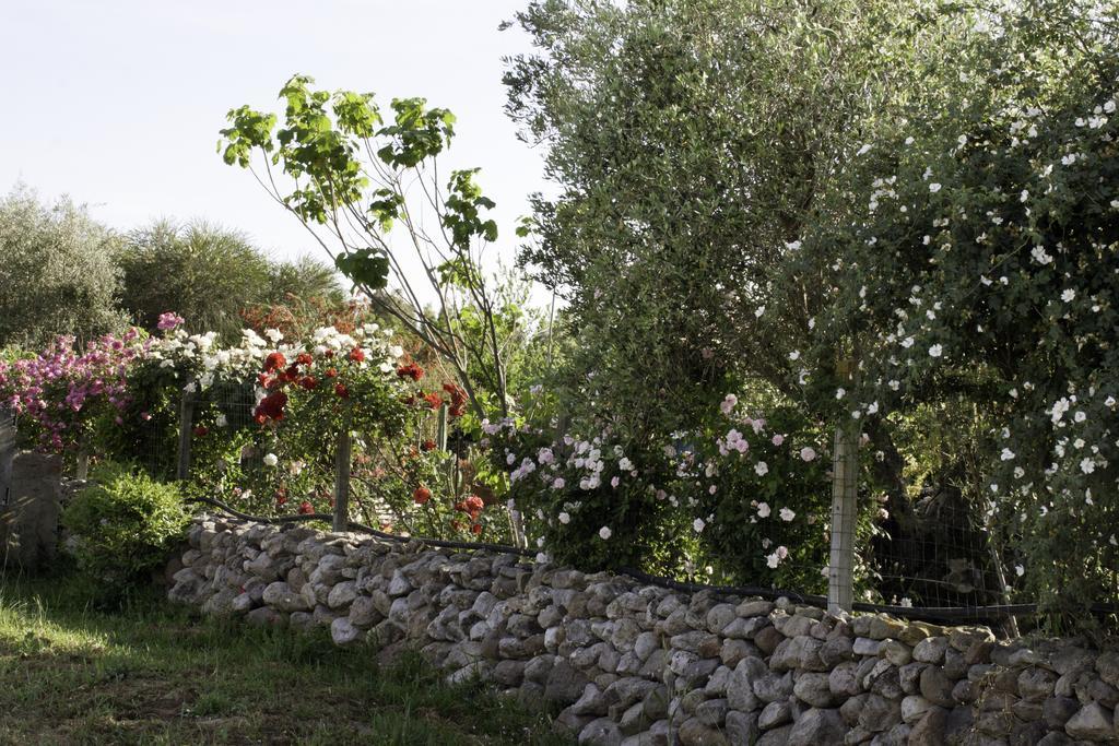 Bed and Breakfast Il Vecchioliveto Di Ornella Marrùbiu Zewnętrze zdjęcie