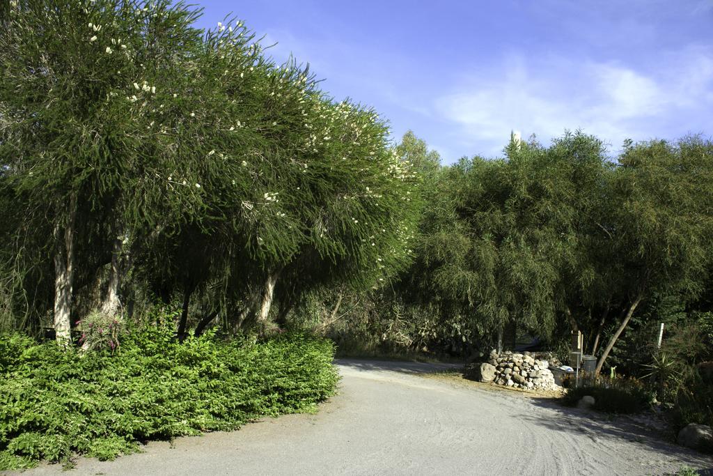 Bed and Breakfast Il Vecchioliveto Di Ornella Marrùbiu Zewnętrze zdjęcie