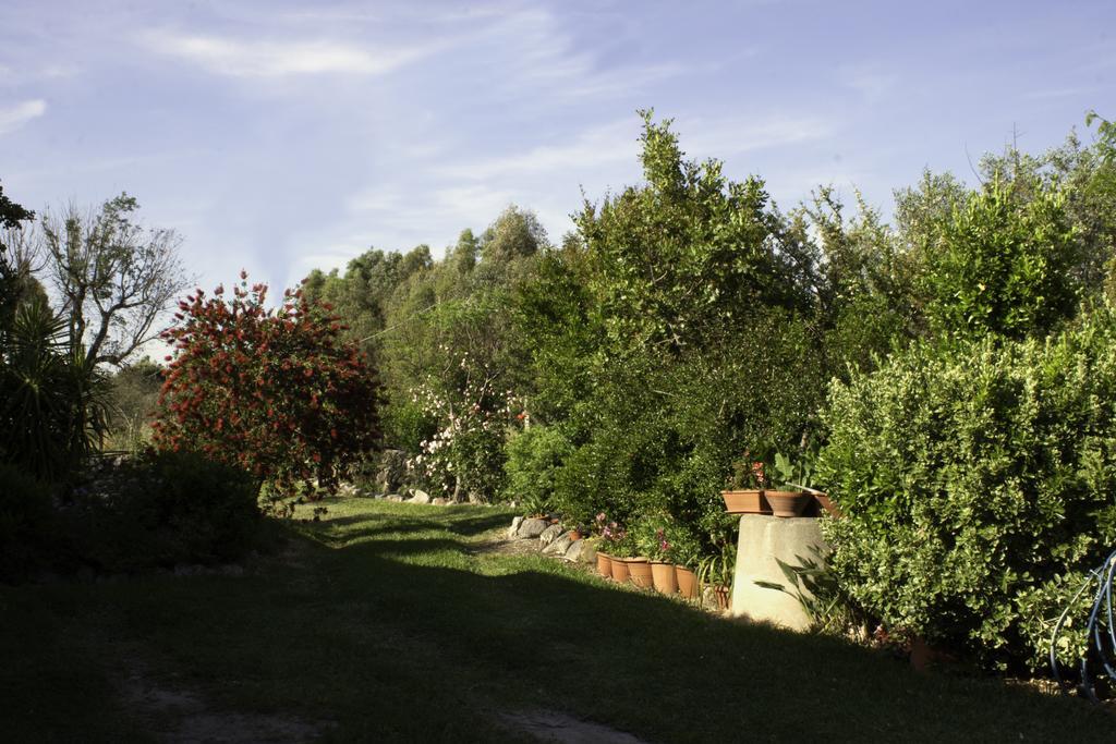 Bed and Breakfast Il Vecchioliveto Di Ornella Marrùbiu Zewnętrze zdjęcie