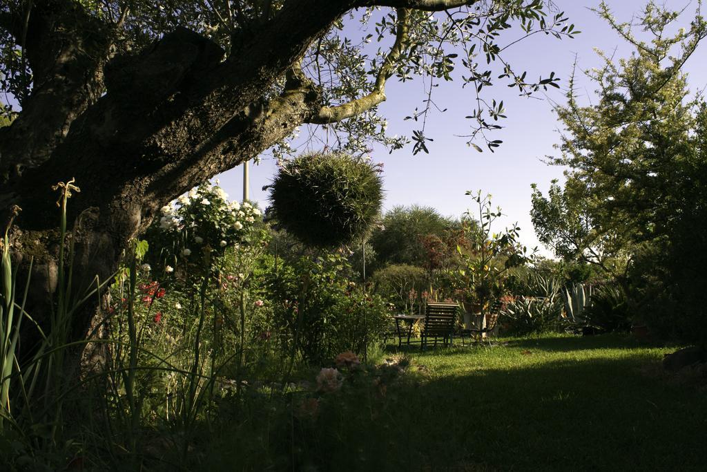 Bed and Breakfast Il Vecchioliveto Di Ornella Marrùbiu Zewnętrze zdjęcie