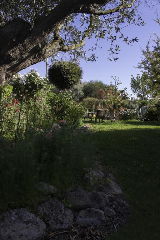 Bed and Breakfast Il Vecchioliveto Di Ornella Marrùbiu Zewnętrze zdjęcie