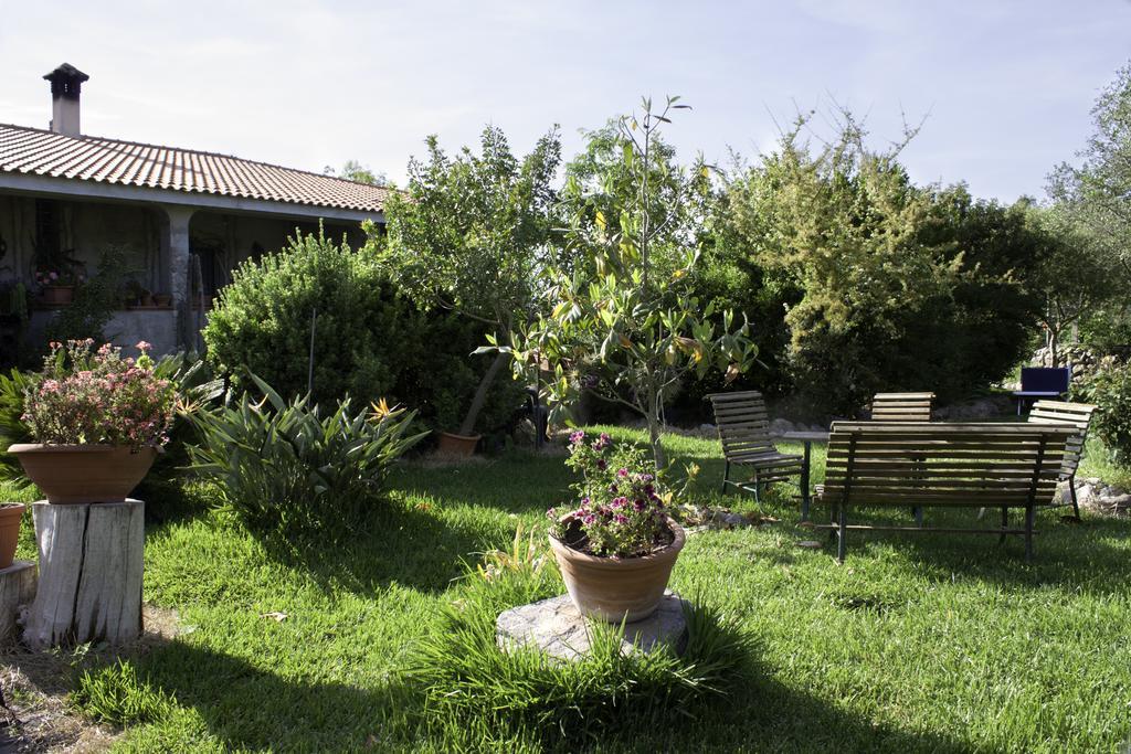 Bed and Breakfast Il Vecchioliveto Di Ornella Marrùbiu Zewnętrze zdjęcie