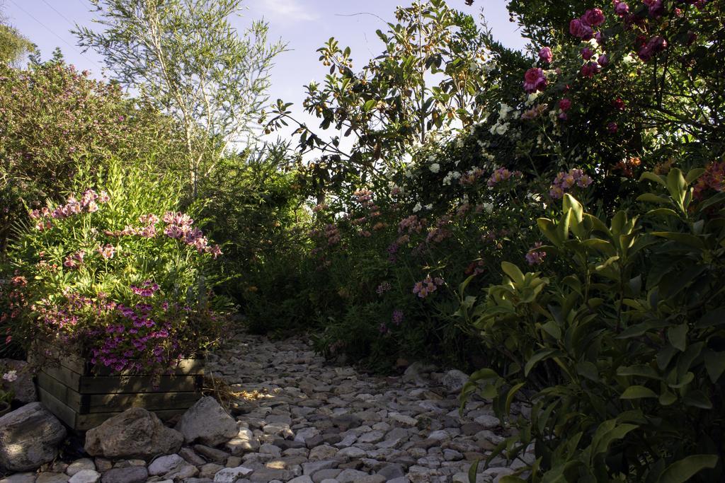 Bed and Breakfast Il Vecchioliveto Di Ornella Marrùbiu Zewnętrze zdjęcie